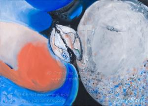 Venus - Shells and Stones by Chrisitna Jarmolinski