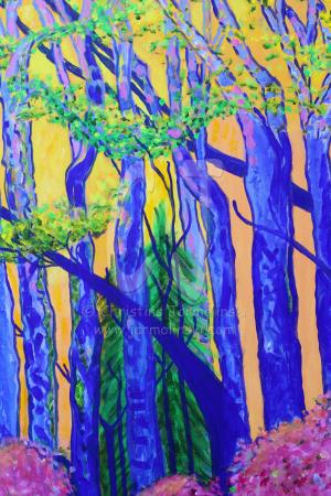 View out of My Studio Window