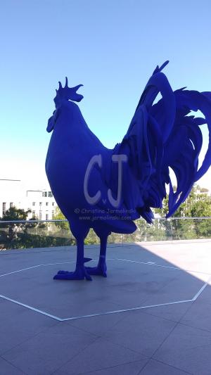 Rooster on tower terrace overlooking the DC buildings