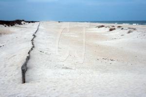 Assteague Island by Christina Jarmolinski