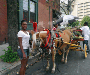 Selling fresh veggies to restaurants