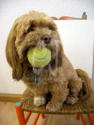 It's Time to Play! by Christina Jarmolinski