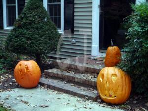 Halloween neighbors creativity