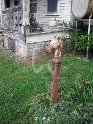 Horse Post by Christina Jarmolinski