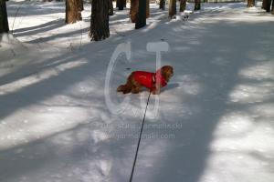 Lakshmi-"I've had enough."