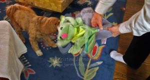 Lakshmi"Give me my toy"