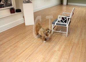 Lakshmi viewing the show