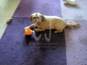 View of my Studio by Christina Jarmolinski