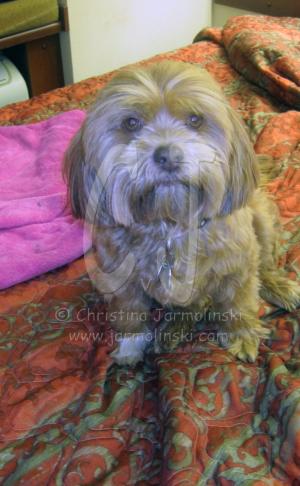 Our Trip to Maryland with Lakshmi by Christina Jarmolinski