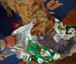 Lakshmi unwrapping her present