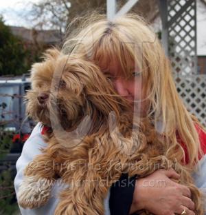 It Looks Like Love by Christina Jarmolinski