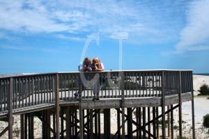 Rob-and-Chris-by-Phyllis-Whitney