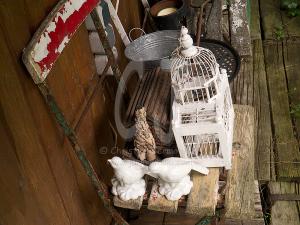 Uschi's Garden her little hideout