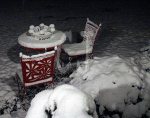 In the morning hours