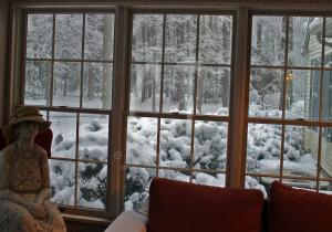 View out of my Studio Window