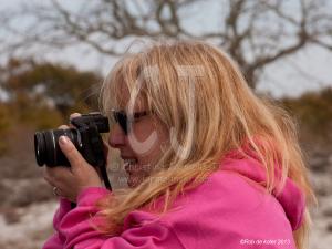 Christina photographing Horses on Assateague Island