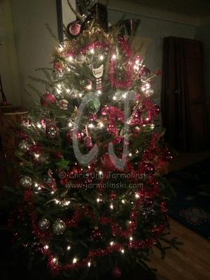 Christmas Tree in Maryland by Christina Jarmolinski