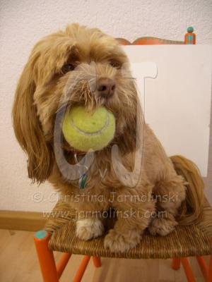 Let's play in the studio