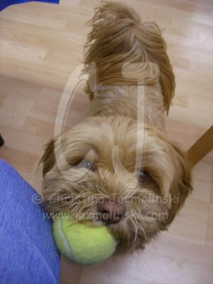 Lakshmi with her ball