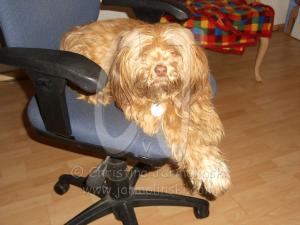 watching Christina paint in her studio in the Malerhof