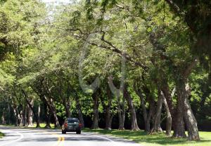 driving-home-from-Assateague