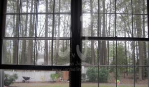 View out of new Studio in Maryland by Christina Jarmolinski