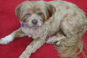  My Studio before Opening