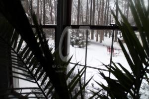 Snow Storm 2015- Salisbury got it's share last night