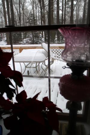 Snow Storm 2015- Salisbury got it's share last night