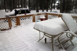 Snow Storm 2015- Salisbury got it's share last night