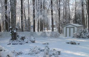 View out of my Studio Window by Christina Jarmolinski  
