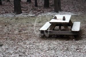 Snow Storm 2015- Salisbury got it's share last night