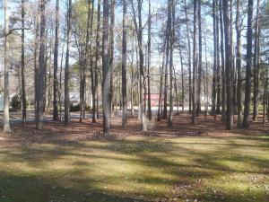 View into my new Neighborhood by Christina Jarmolinski