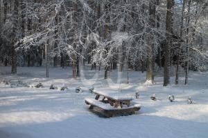 View out of my Studio Window by Christina Jarmolinski