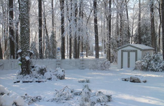 View out of my Studio Window by Christina Jarmolinski  