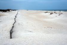 Assteague Island by Christina Jarmolinski