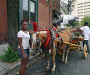 Selling fresh veggies to restaurants