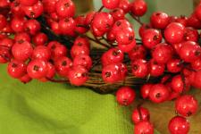 Christmas Holly Berries
