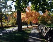 Along the way in the countryside