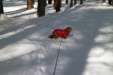 Lakshmi-"I've had enough."