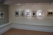 Black and White  Art Show in Salisbury, MD  by Christina Jarmolinski