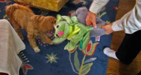 Lakshmi"Give me my toy"