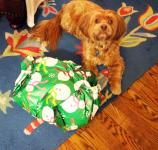 Lakshmi receiving her present 