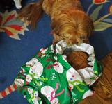 Lakshmi unwrapping her present