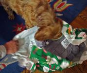 Lakshmi unwrapping her present