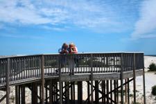 Rob-and-Chris-by-Phyllis-Whitney