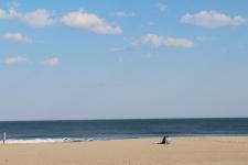 St. Patty's Day on the boardwalk of Ocean City, MD.  by Christina Jarmolinski