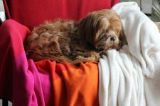 Deep sleep after running in the snow