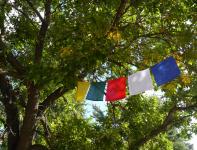 Tibetan Peace Flags