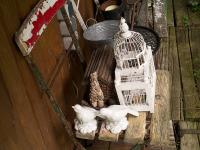 Uschi's Garden her little hideout